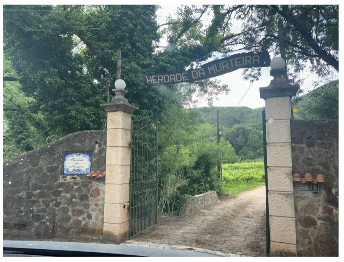Farm Front Gate